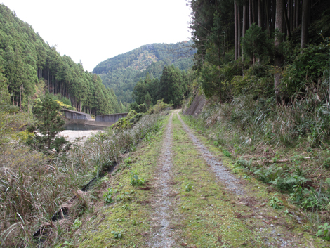 20141108hike (111)